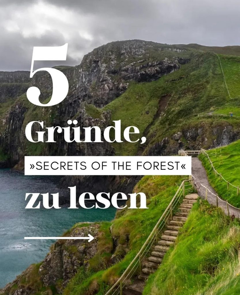 Romantasy-Neuerscheinung_Secrets of the Forest_1